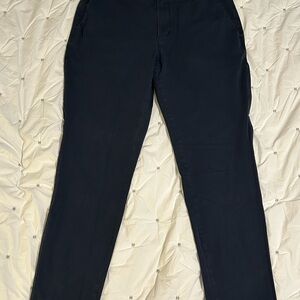 Everlane Men's Navy Chinos